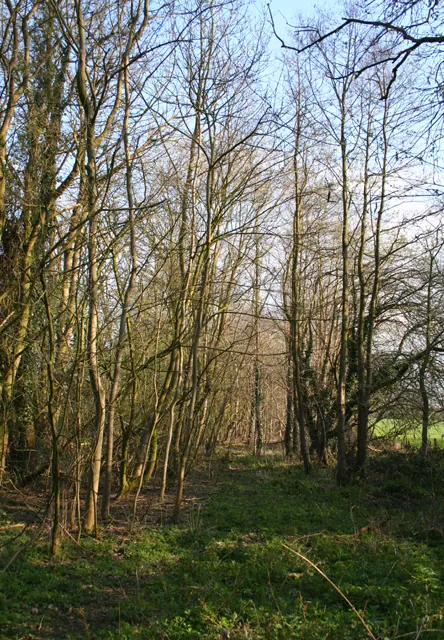 Line of disused railway, near Hall Lane bridge