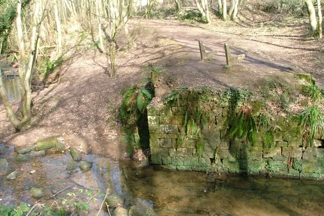 Old Bridge Abutment, Loftus Wood