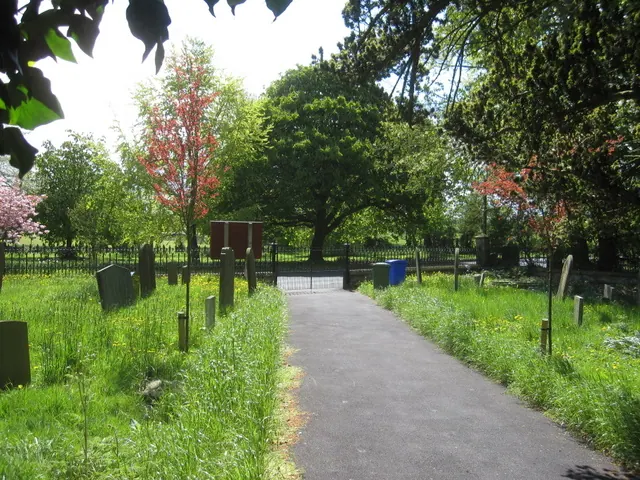 Main path to All Saints', Muston