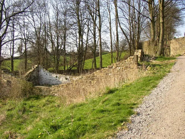 Ruin next to the five-rise locks, Bingley