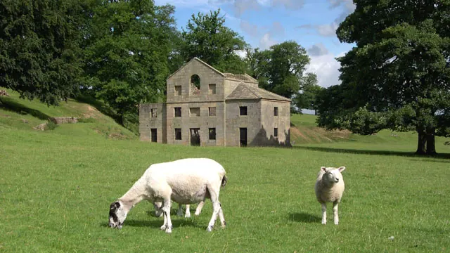 Chatsworth Park Estate - Corn Mill ruin