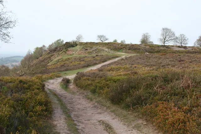 View towards Maiden Castle ramparts