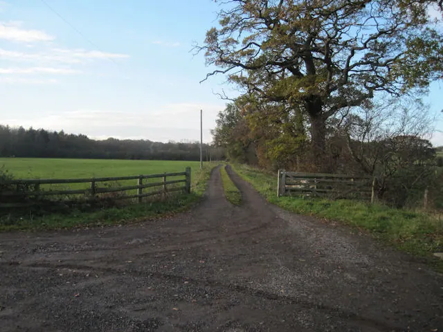 Track to Old Hall from A528