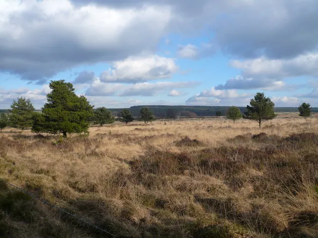 Farley Moor Boundary - View across Matlock Moor