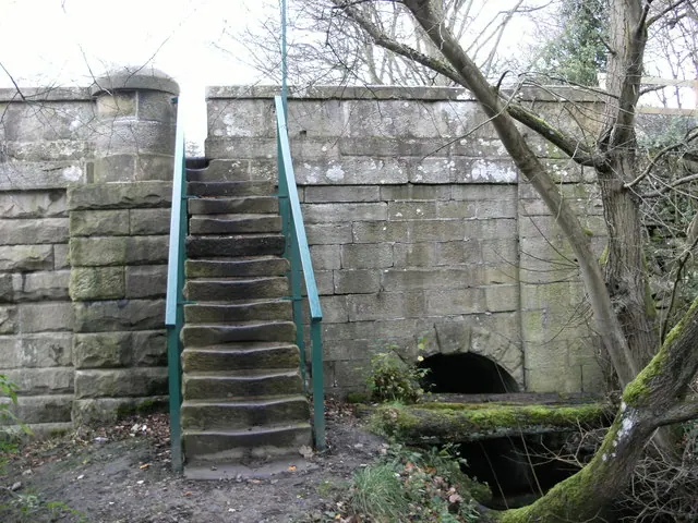Steps and a mill goit at Lindley Bridge