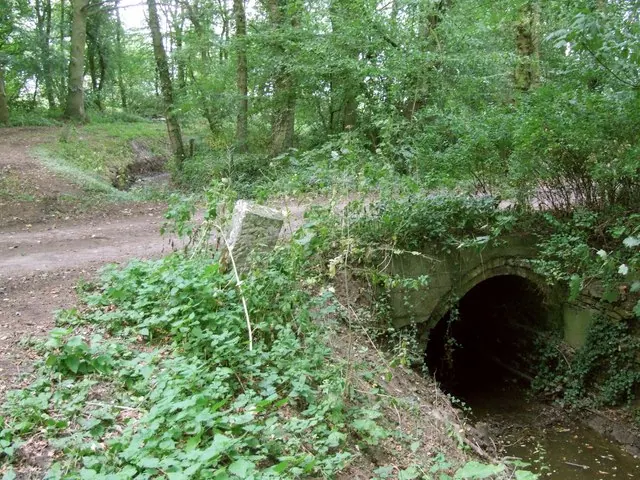 The Syke crossing under Smith's Lane.
