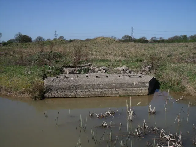 Remains of a bridge over ponds