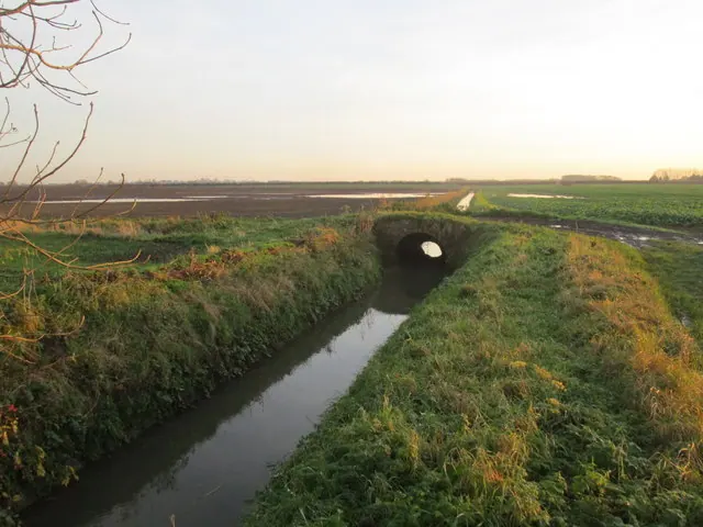 Bridge over a drain near Millingdale Farm