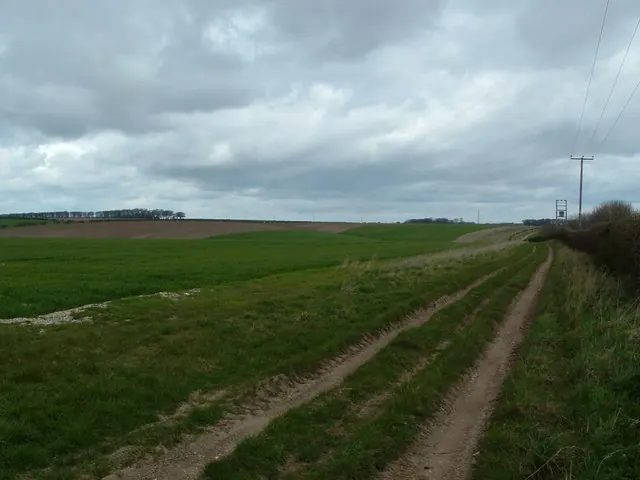 View across Ganton Dale from Barrow Farm