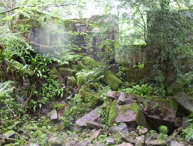 Ruins of Farnley Mill, Farnley Tyas