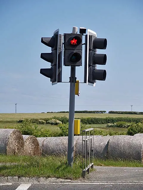 Crossing for horses