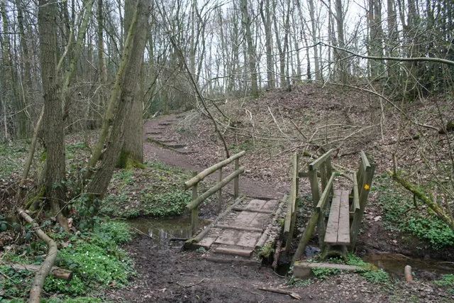 The woodland crossing