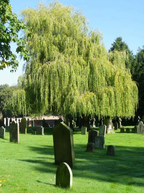 Churchyard, St Radegund's Church
