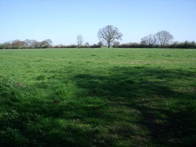 Farmland, Old Hall Farm