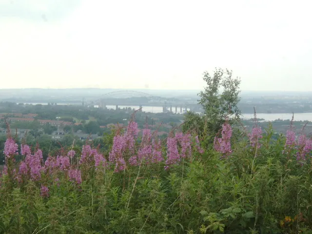 View from Castle - River Mersey