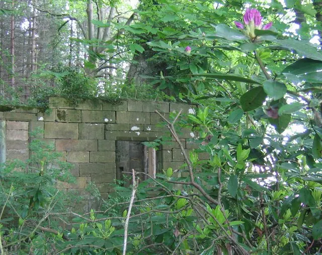 Ruins of Trinity Chapel