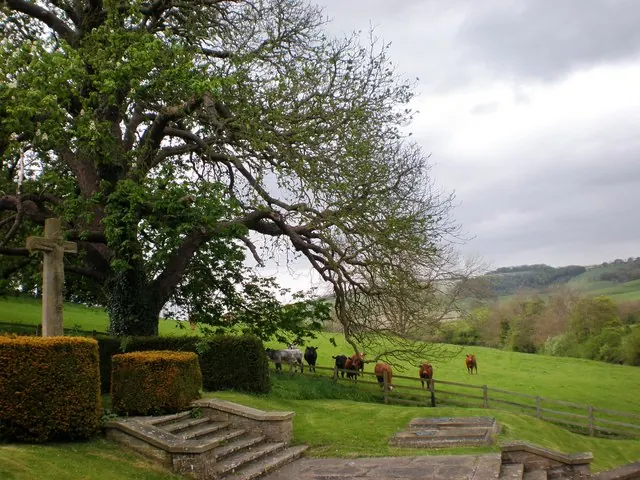 Kirby Underdale churchyard