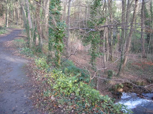 Footpath in Hawarden Park and the corn mill ruins