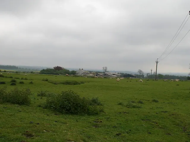 Griff Farm across the earthworks of Griff deserted medieval village