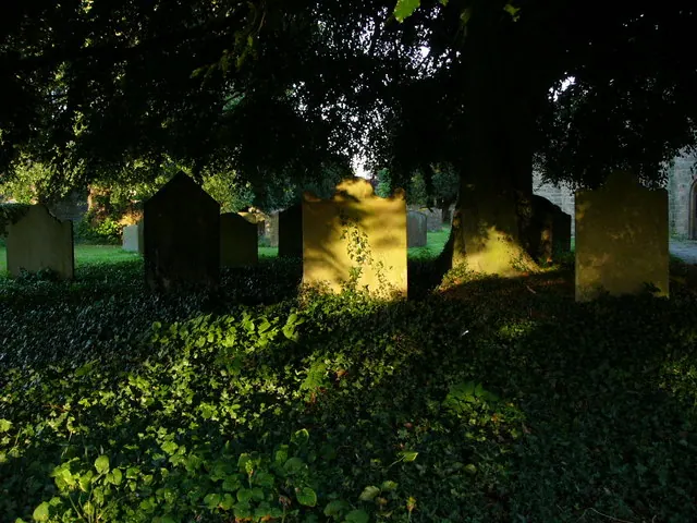 St Mary's churchyard, Masham