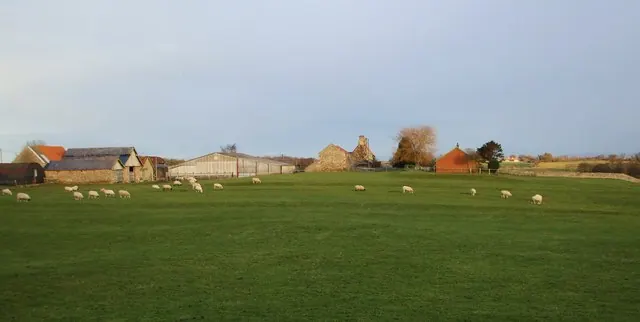 Hackforth Manor Farm
