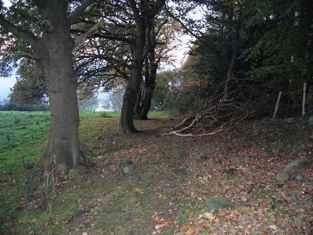 Ancient track near Bridge End, Caergwrle