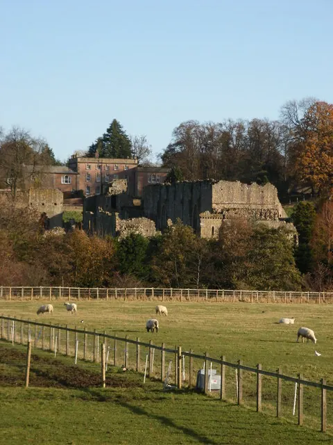 Easby Abbey from across the river.