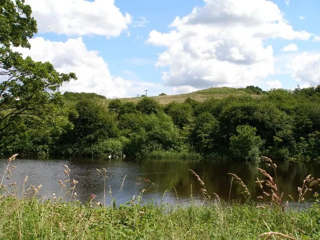 Round Hill mound and bailey across the Tees