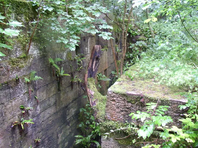 The water-wheel slot, Farnley Mill, Farnley Tyas
