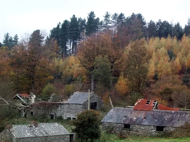 Well Wood