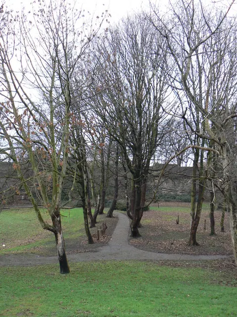 The Grounds of Knottingley Old Hall