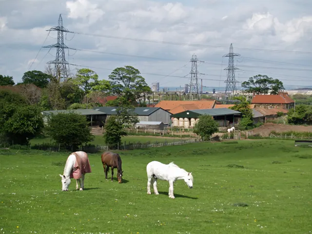 Old Hall Farm