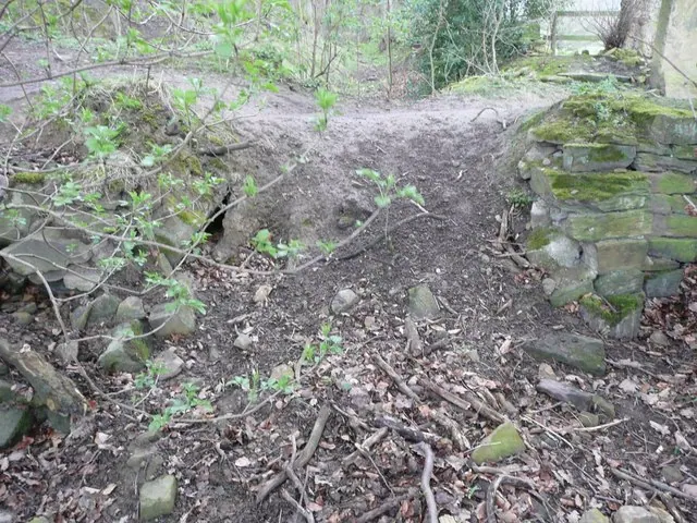 Remains of bridge, Hagg Wood, Hopton, Mirfield
