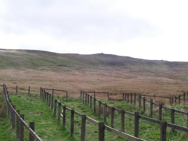 Looking south east at Obelisk (War Memorial)