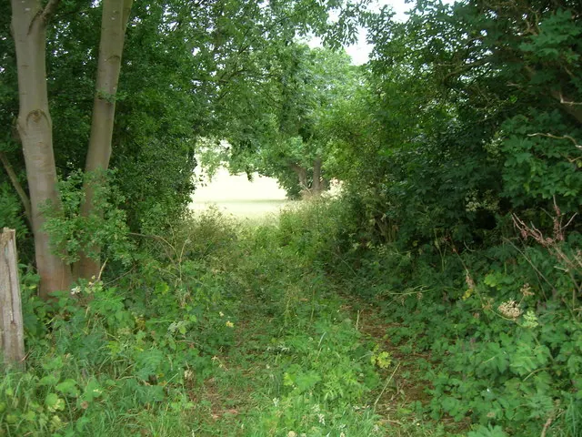 Bridleway towards the Thirkleby Manor