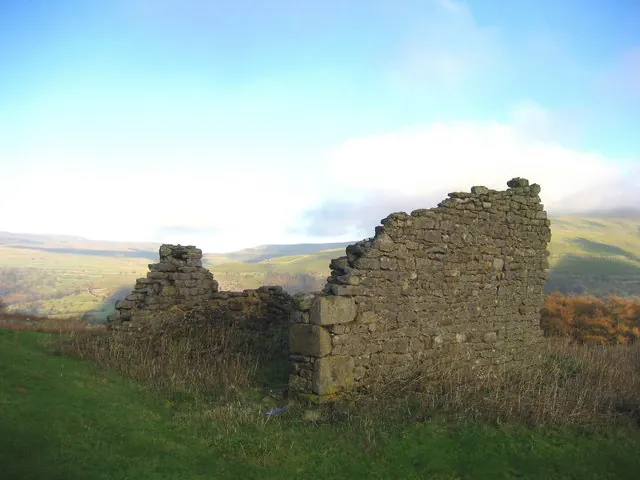Ruin above Water Gill Wood