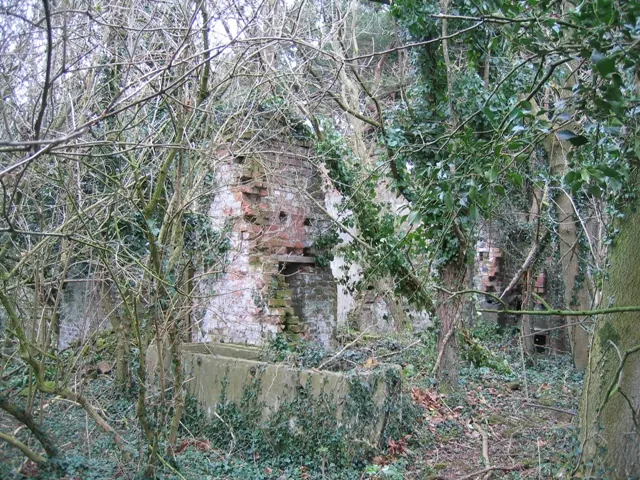 Ruin in Coed y Cra