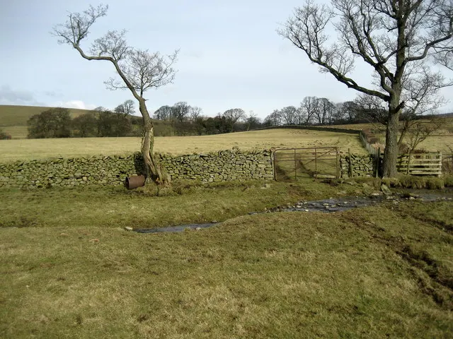 Crossing a Stream South of Ireby Hall Farm