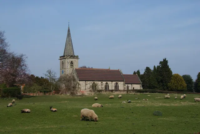 Sheep on Abbey Fields, Rocester