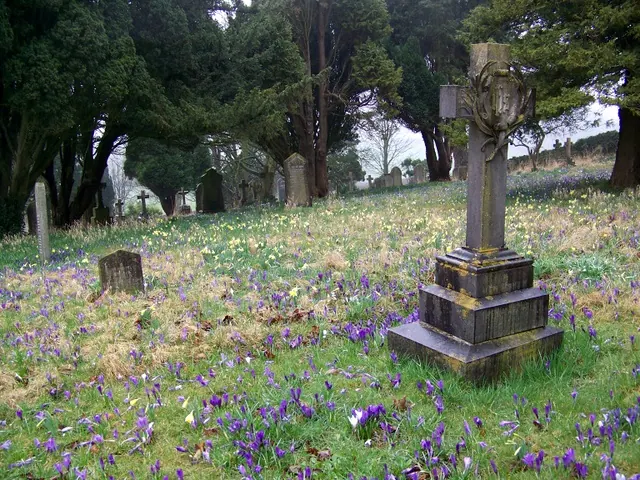 Graveyard, The Church of St Michael and the Holy Angels