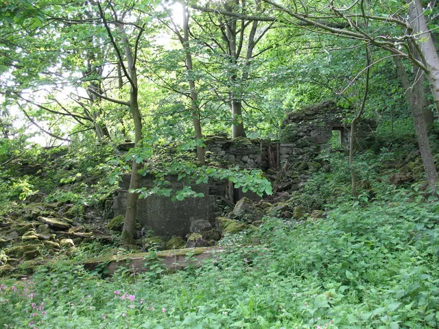 Ruins of Coverham Low Mill