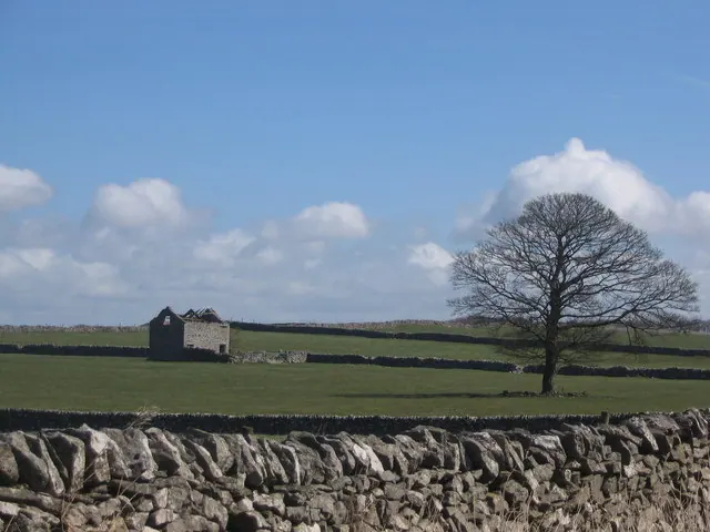 Ruined Barn near Magpie Mine