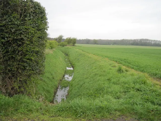 Field  Drain  Near  Moxby  Priory  Farm