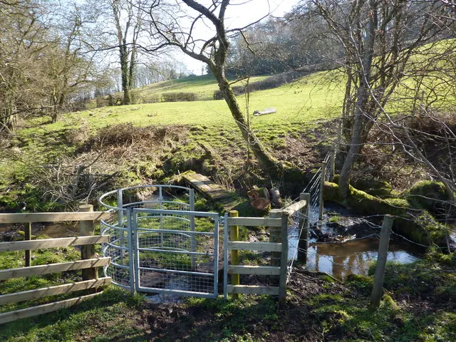 Stream crossing near Brook Farm, Windley