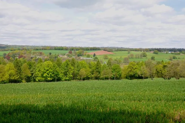 Over Fields and Woods in the direction of Calwich Abbey