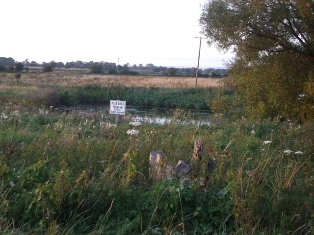 Mill Lock Fishing Pond