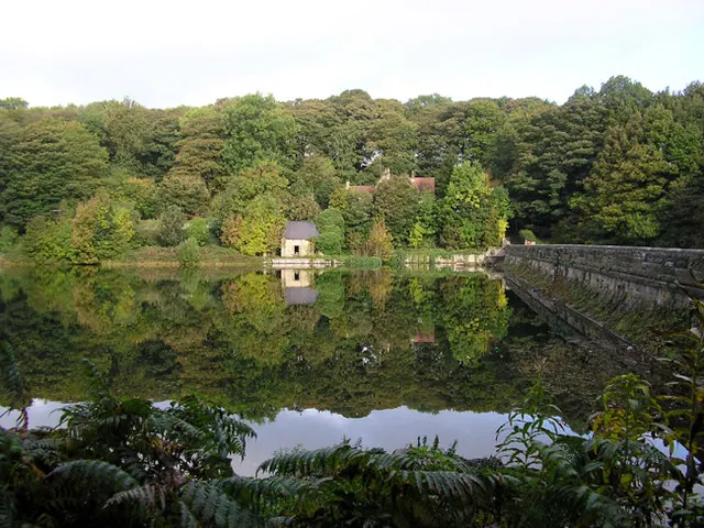 A ruined building at the side of Linacre Reservoir