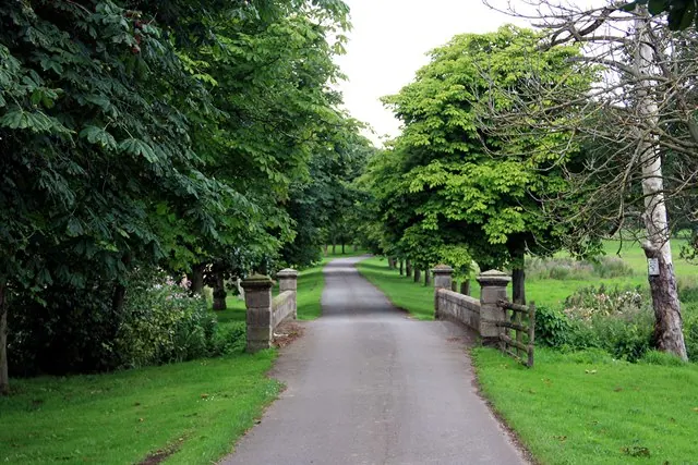 Bridge and driveway to Longford Hall