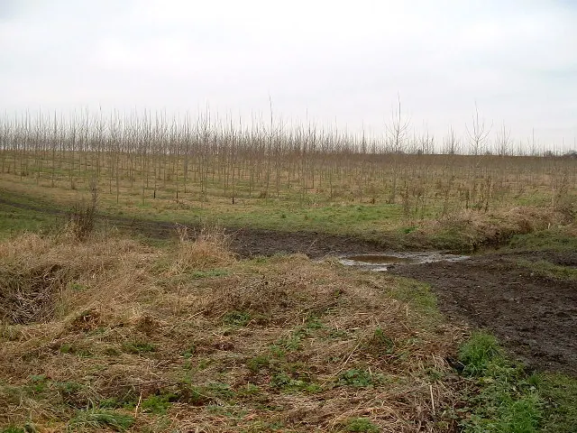 Footpath crossing Pildacre Mill Beck