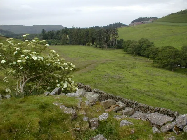 View of Nab Farm ...